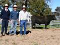 A Paragon of performance in $30,000 bull at Gates Performance Genetics sale