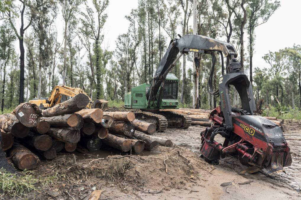 Research from ANU suggests logging poses fire risks. Photo supplied.