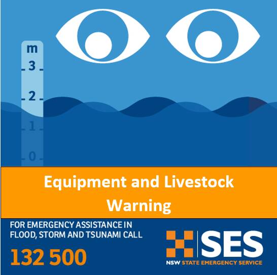 SES issue livestock and equipment warning - Hunter River