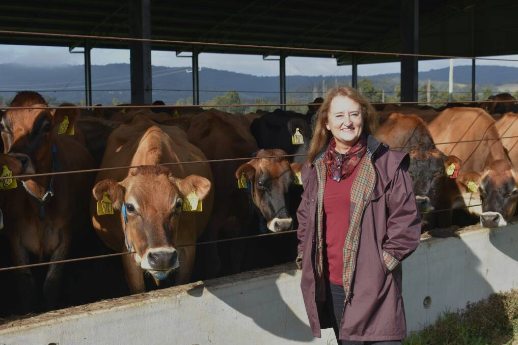 Claire Miller (CEO of NSW Irrigators Council) visiting the Williams family dairyfarm on the Paterson River near Vacy. Picture Angus Michie