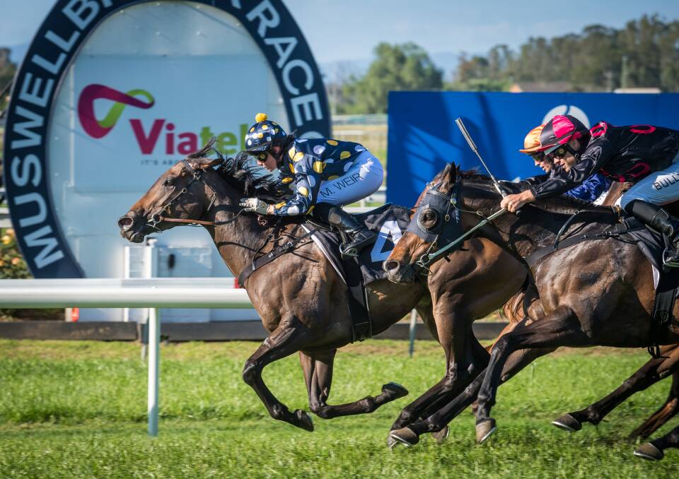 BIG SURPRISE: Mikayla Weir riding Jan Bowman's Iamacrumpet over the line in first place in race six at Muswellbrook's Melbourne Cup Meeting on Tuesday.