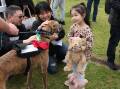 Greyhounds as Pets' 2024 the Winter Adoption Day will be at Gough Whitlam Park in Earlwood on August 18. Picture supplied